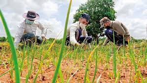 Jetwing-Staff-Doubles-up-as-Farmers