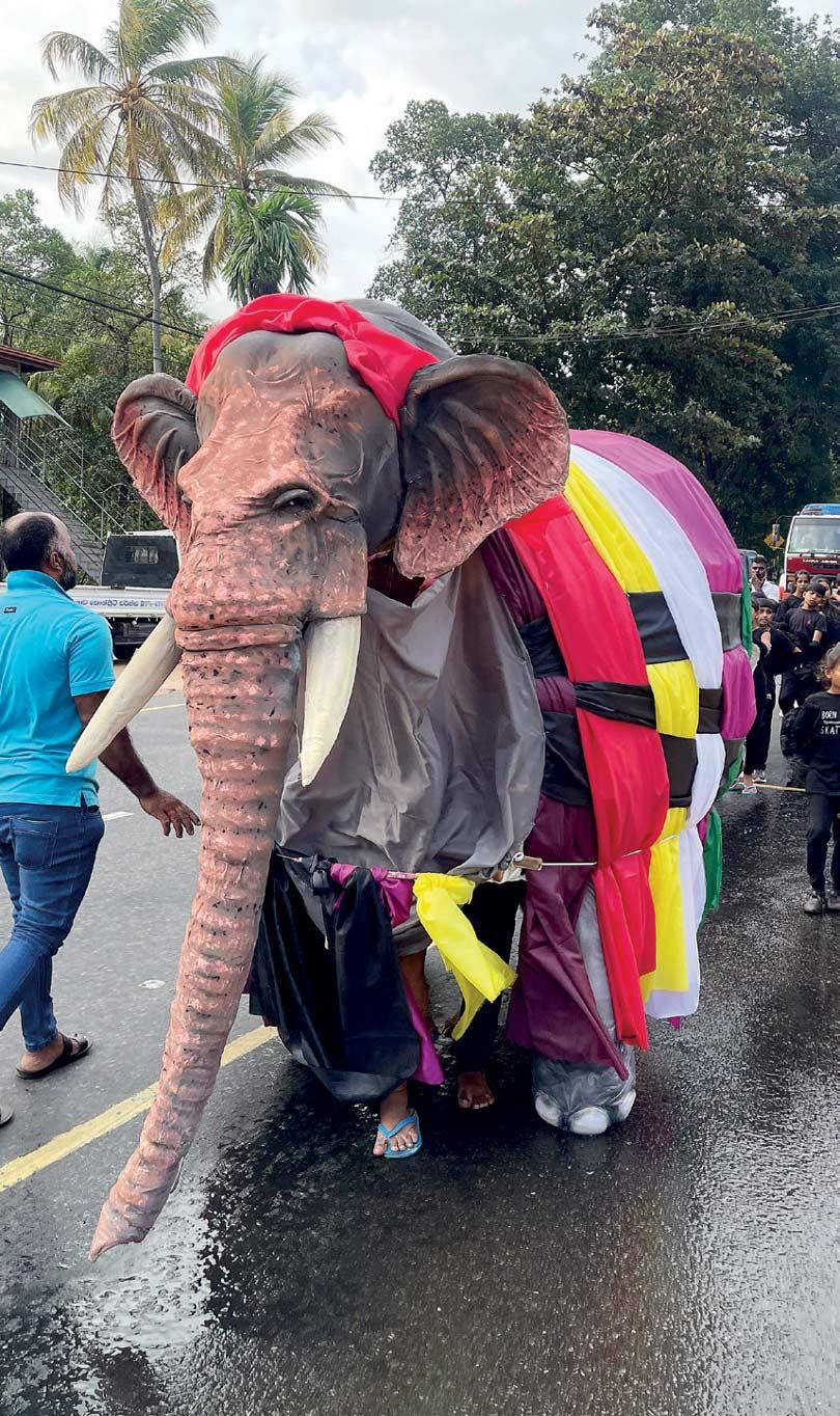Elephant Free Elephant Walk: A Cultural Revolution for Climate Justice and Wildlife Protection